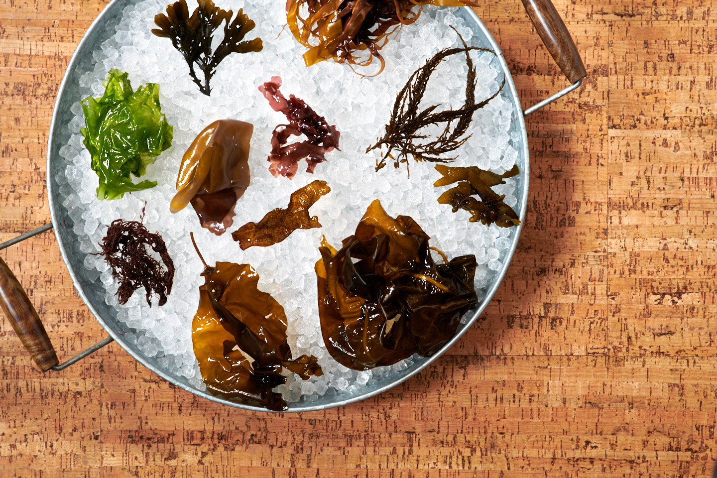 editorial-food-photographer-seaweed-ice-portland-oregon