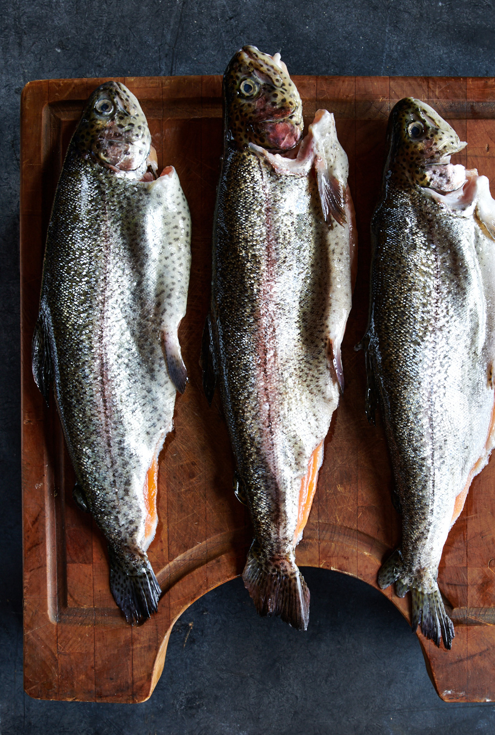 commercial-food-photographer-cookbook-fire-and-wine-fresh-trout-portland-oregon