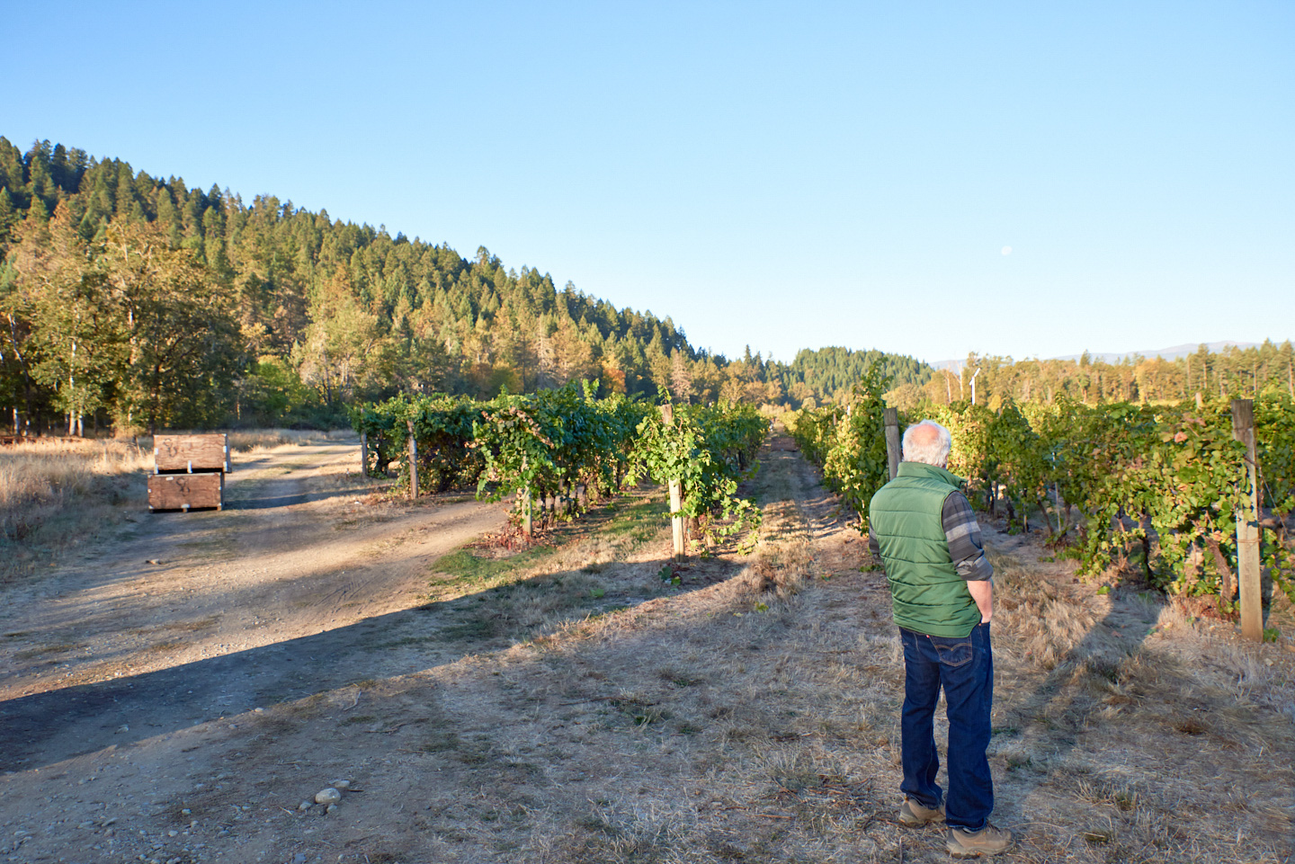 commercial-lifestyle-reportage-photographer-vintner-portland-oregon