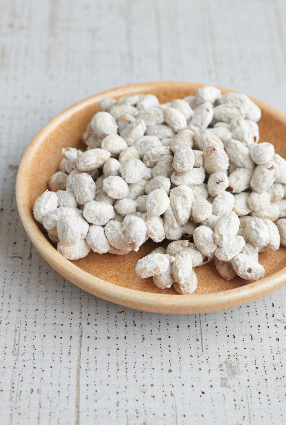 commercial-food-photographer-cookbook-miso-tempeh-natto-koji-portland-oregon