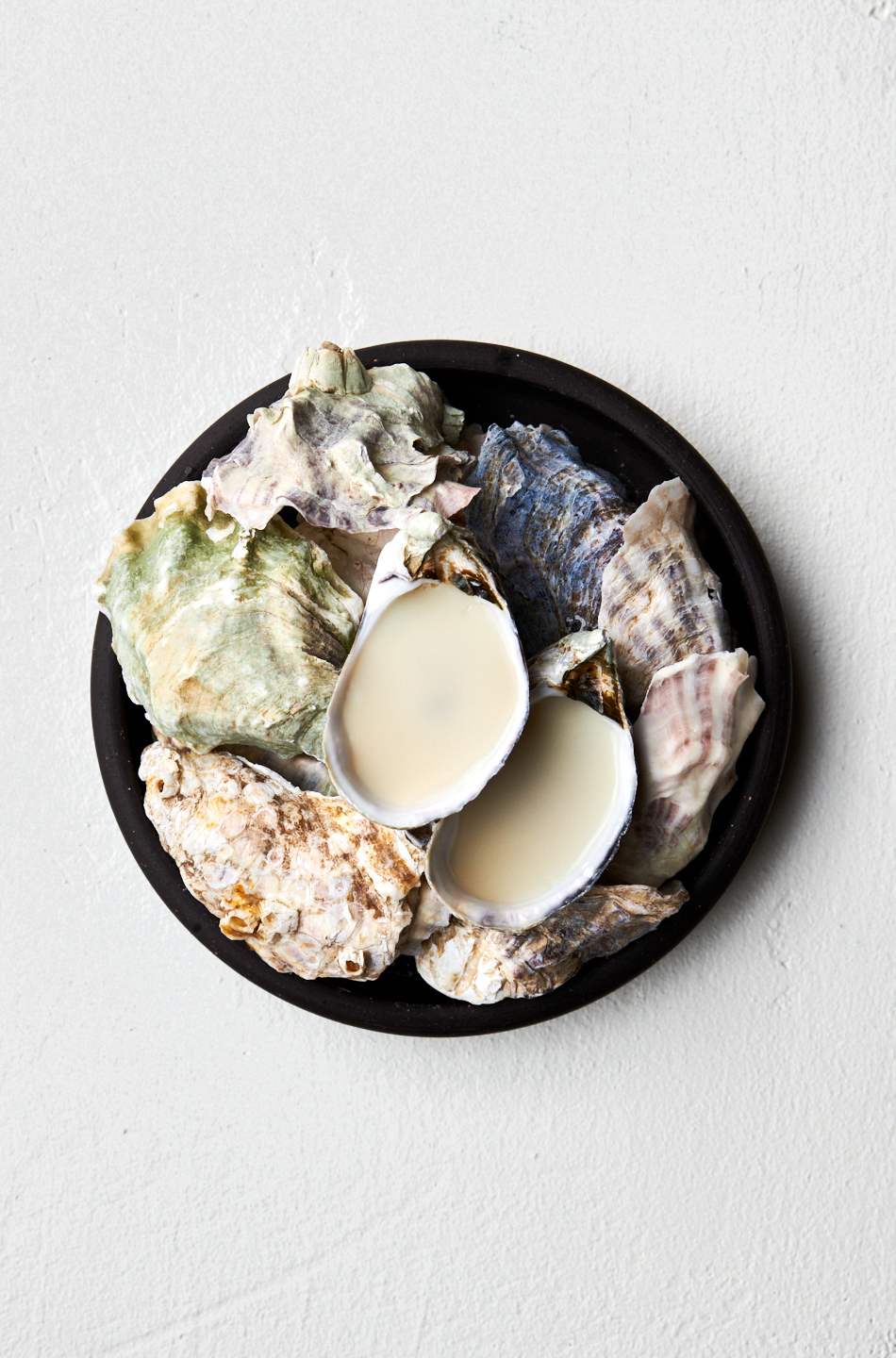 commercial-food-photographer-oysters-castagna-portland-oregon